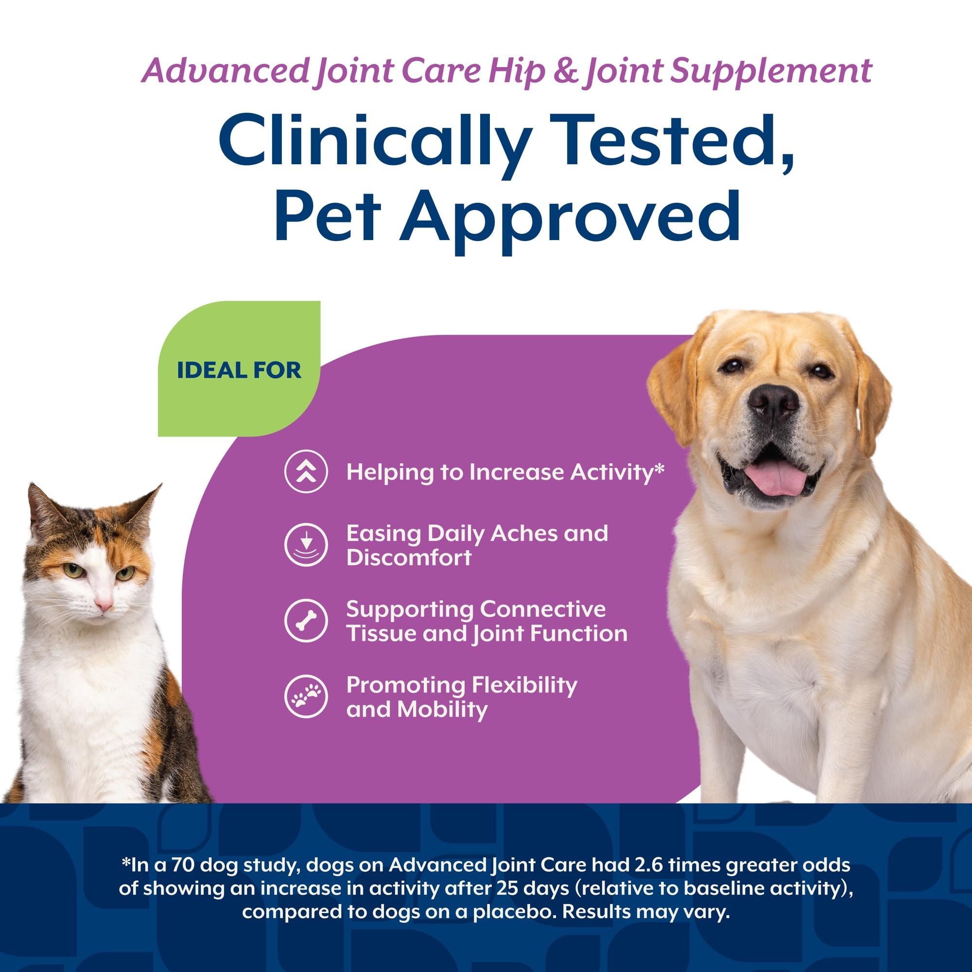 NaturVet ArthriSoothe-Gold Level 3 for senior pet mobility support.