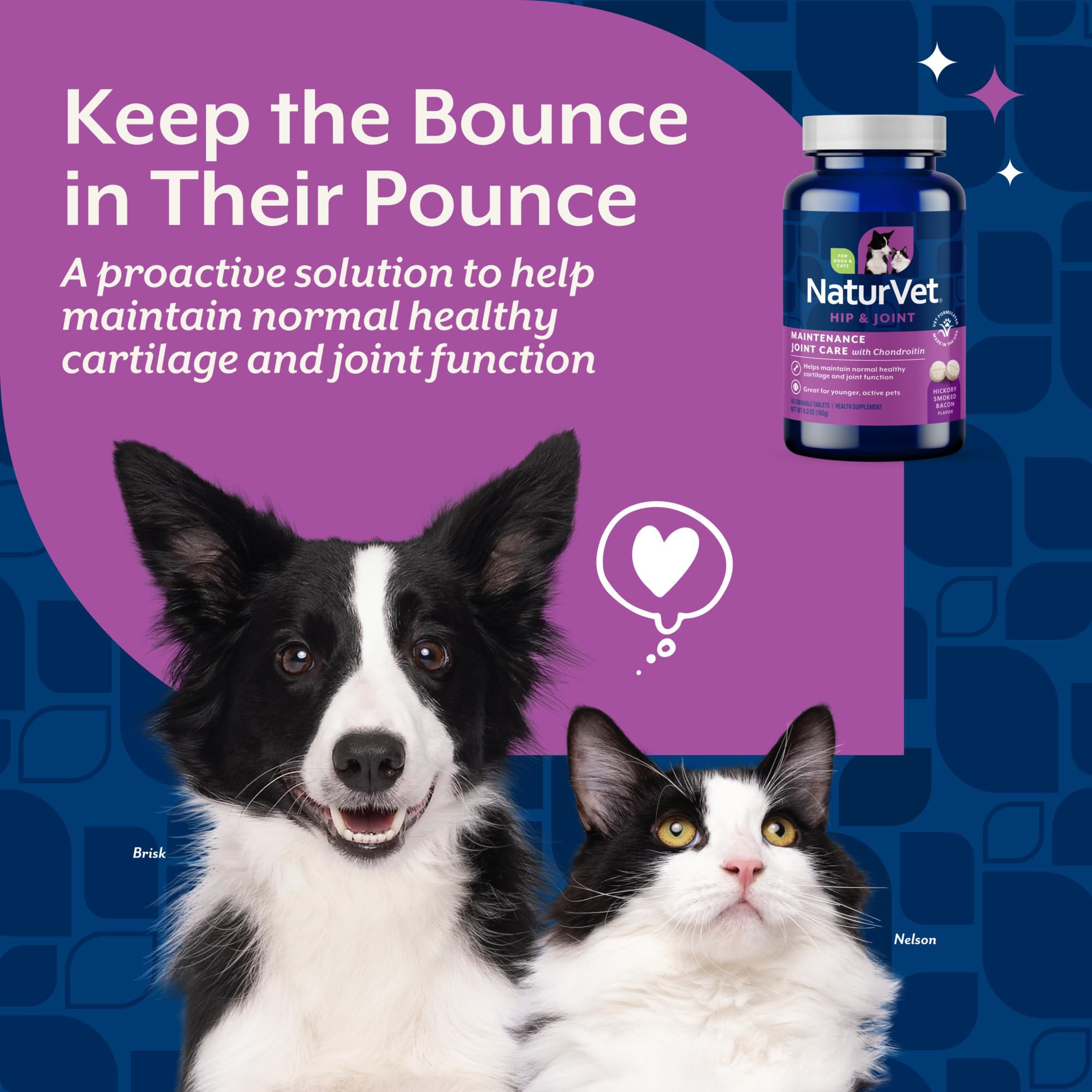 NaturVet Glucosamine DS shown with an active dog