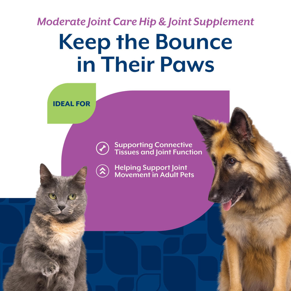 NaturVet Glucosamine DS Plus Level 2 joint supplement for cats shown in a cat-use image.