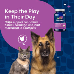 NaturVet Glucosamine DS Plus Level 2 joint supplement for dogs shown in a dog-use image.