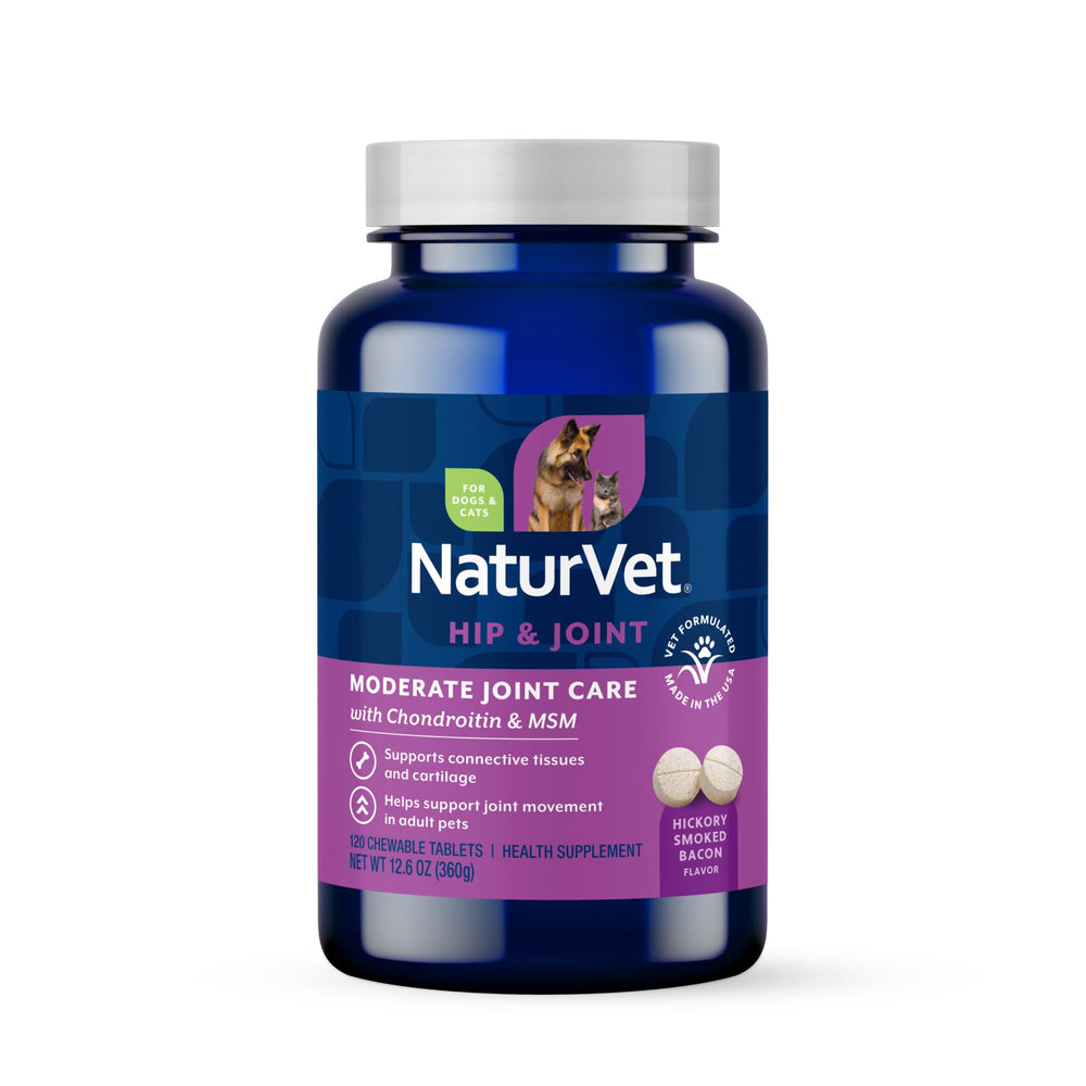 NaturVet Glucosamine DS Plus Level 2 joint supplement shown in a front product view.