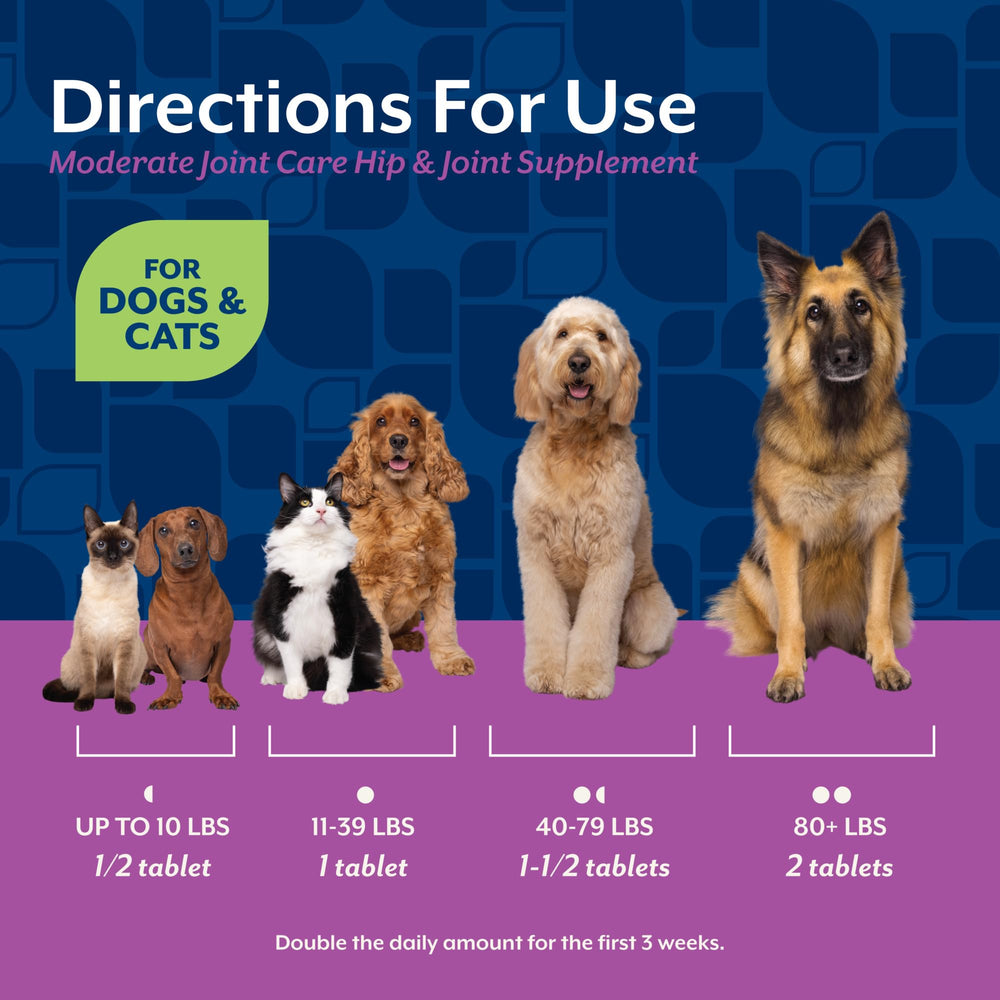 NaturVet Glucosamine DS Plus Level 2 joint supplement highlighting its chewable tablet format.
