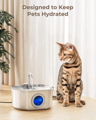 Neareal cat fountain filter 12-pack shown as a replacement set.