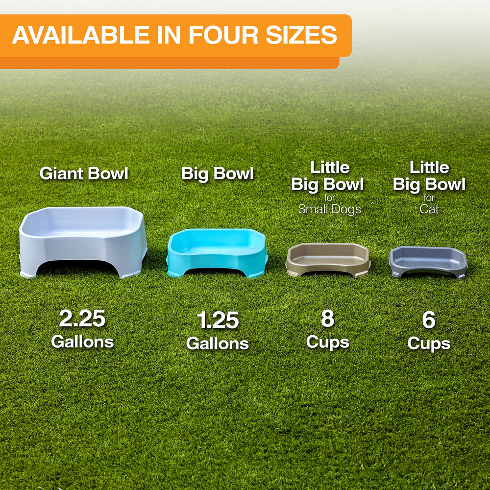 Neater Pet Brands Little Big Bowl photographed to highlight its champagne finish.