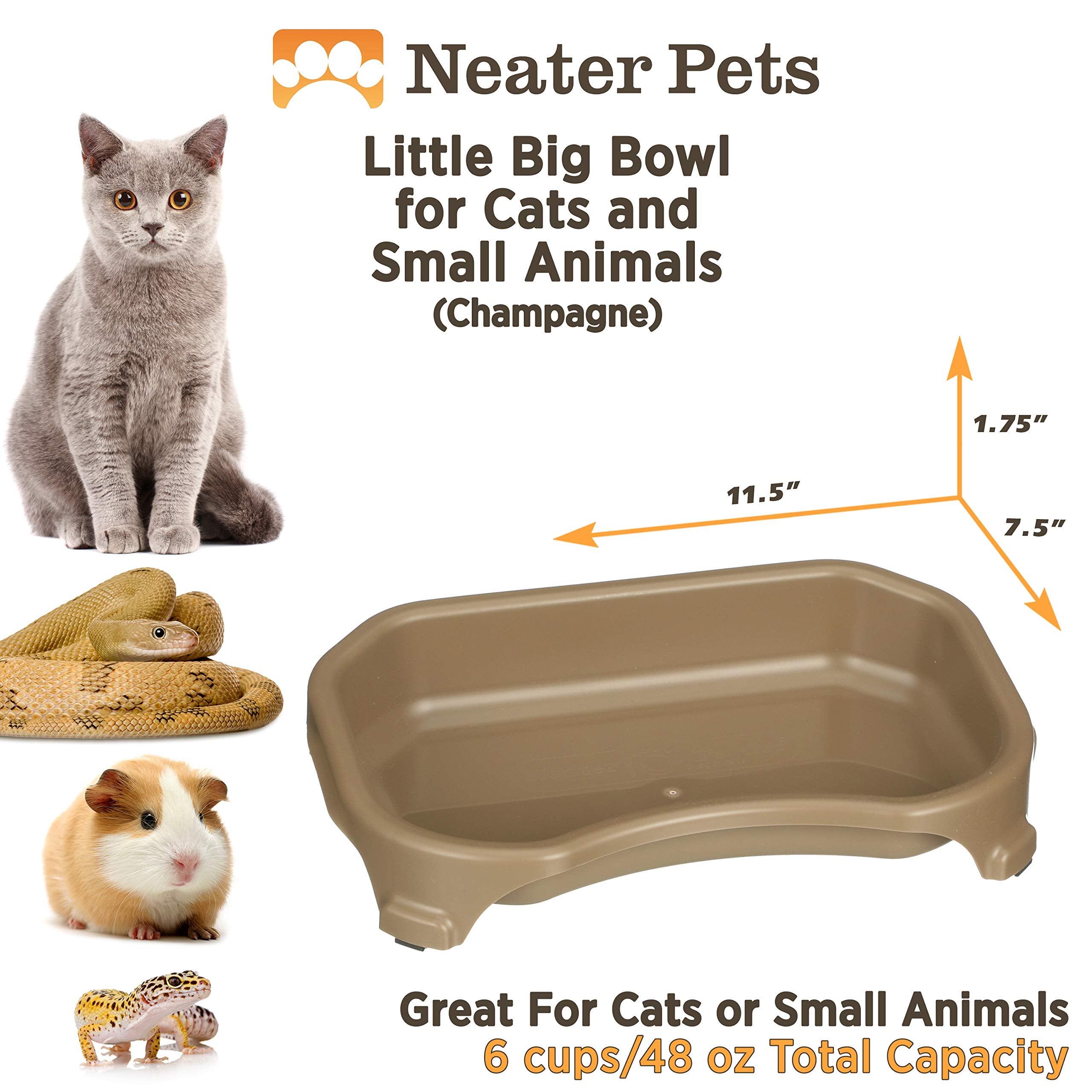 Neater Pet Brands Little Big Bowl shown holding food for a small animal.