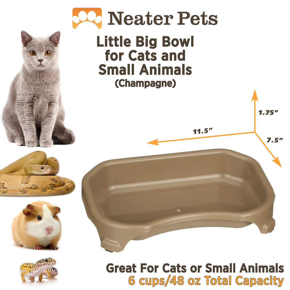 Neater Pet Brands Little Big Bowl shown holding food for a small animal.