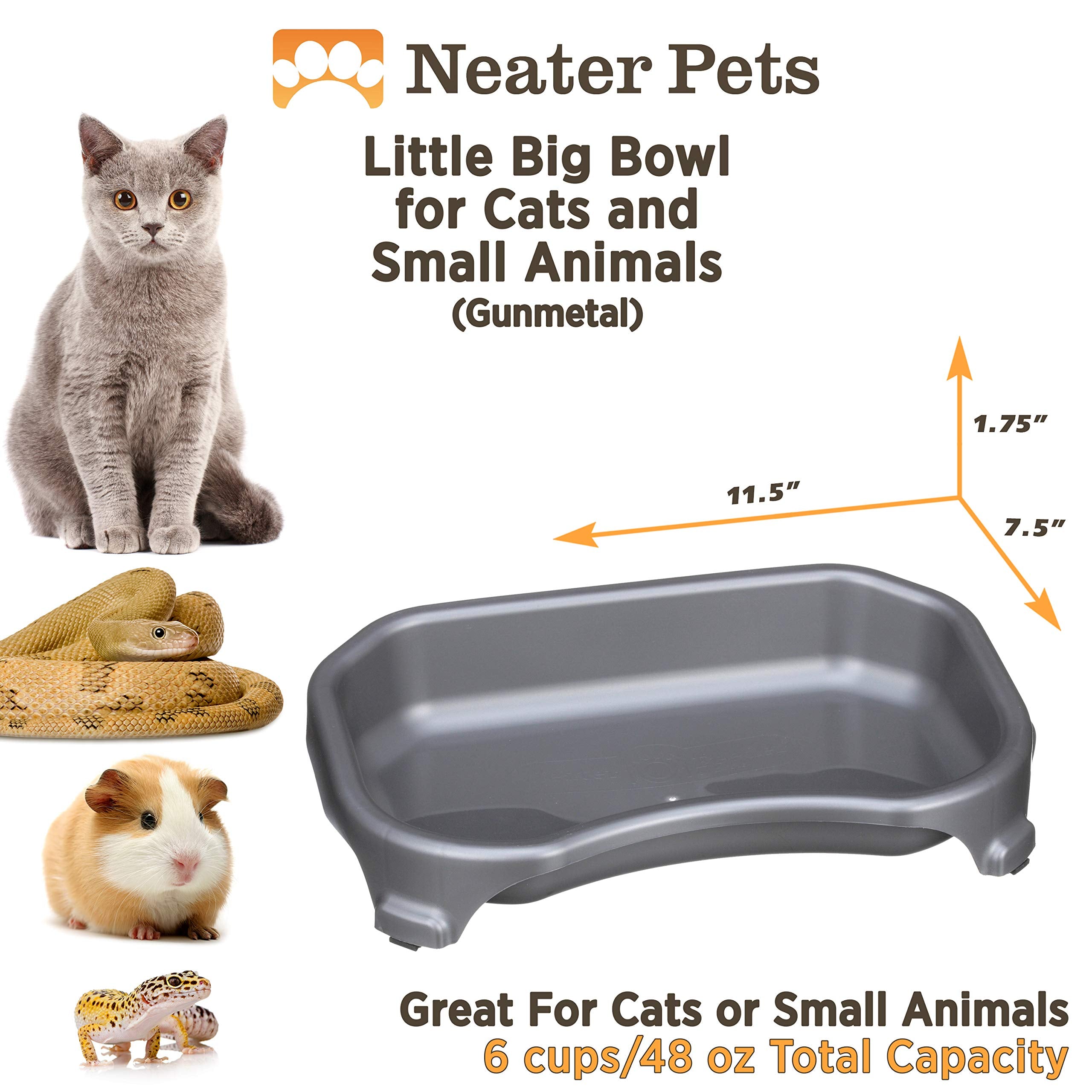 Neater Pet Brands Little Big Bowl used as a food bowl.