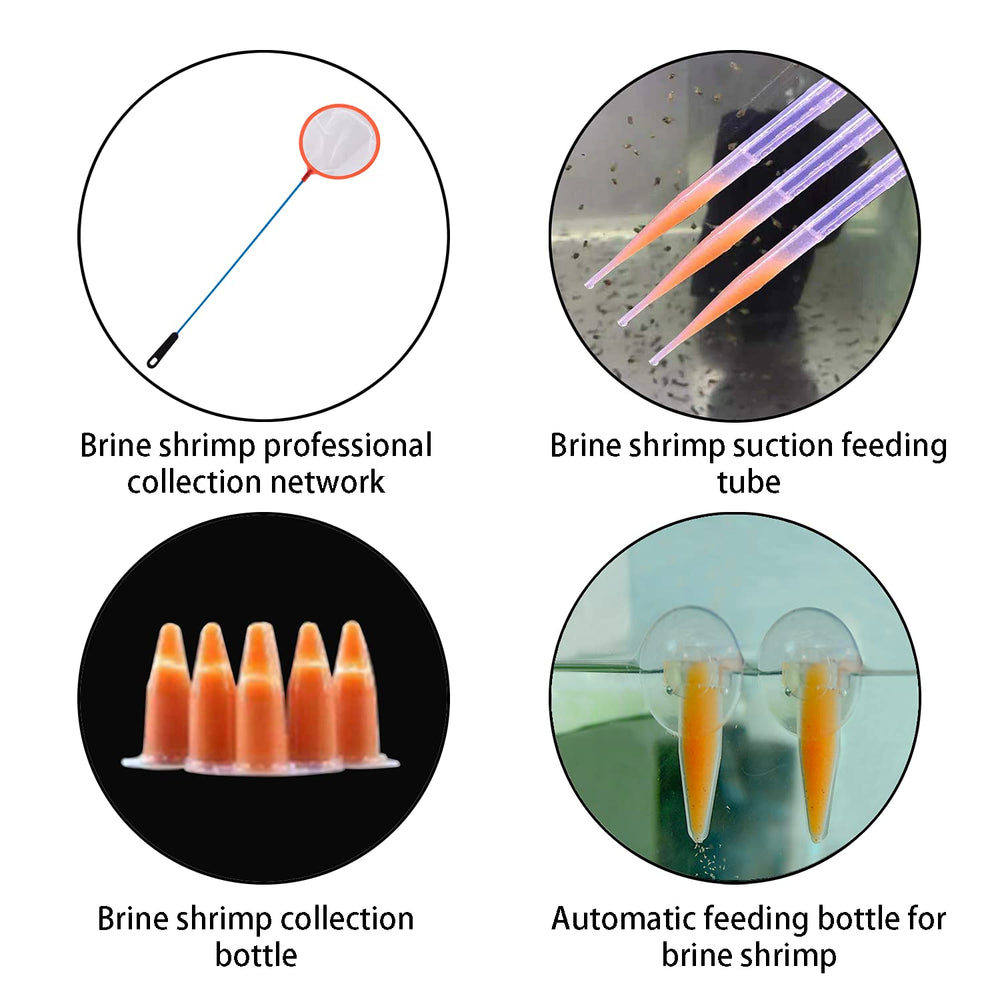 NestBasics brine shrimp hatchery kit with its included air and collection accessories.