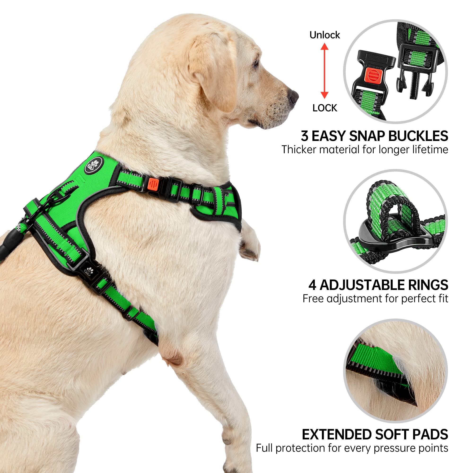 NESTROAD dog harness showing the front leash clip.