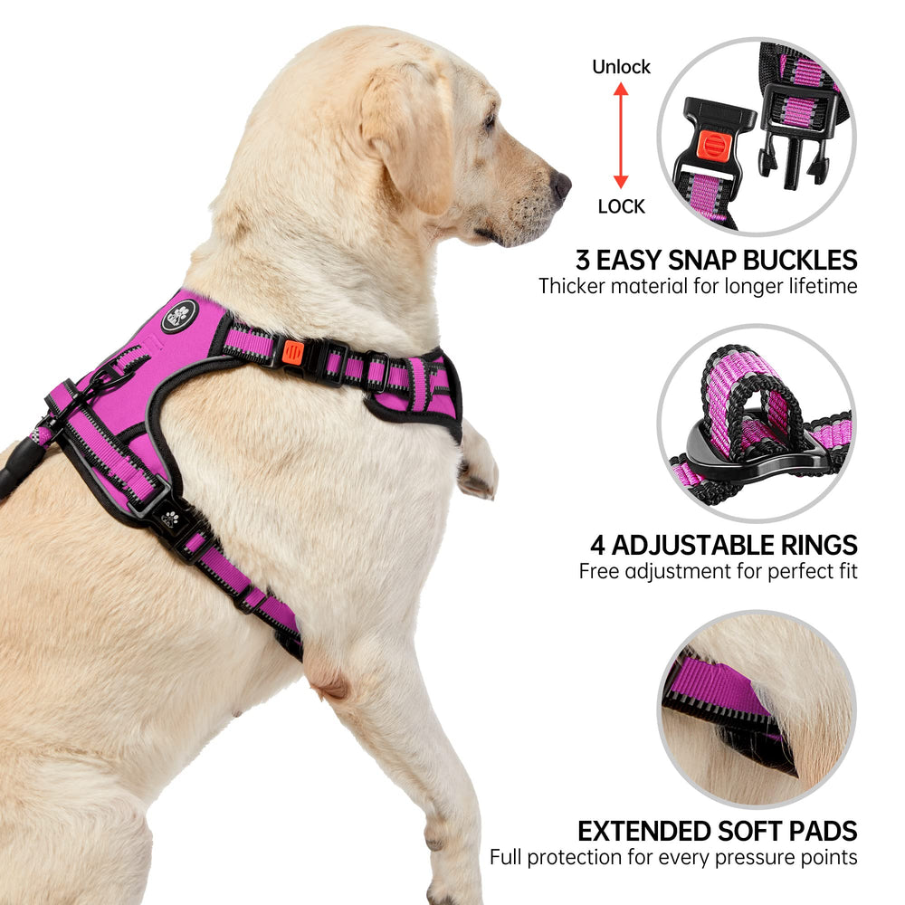 NESTROAD dog harness close-up of padded pressure points and air mesh.