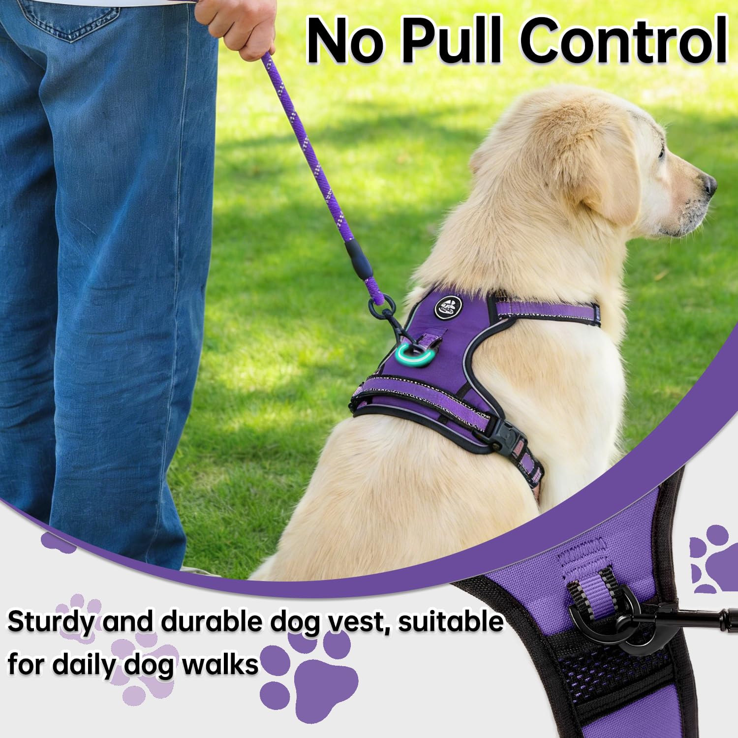 NESTROAD dog harness showing the rear leash attachment clip.