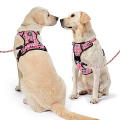 NESTROAD dog harness detail showing its reflective strip.