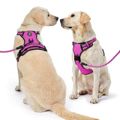 NESTROAD dog harness set shown with its leash, retractable seatbelt and storage strap.