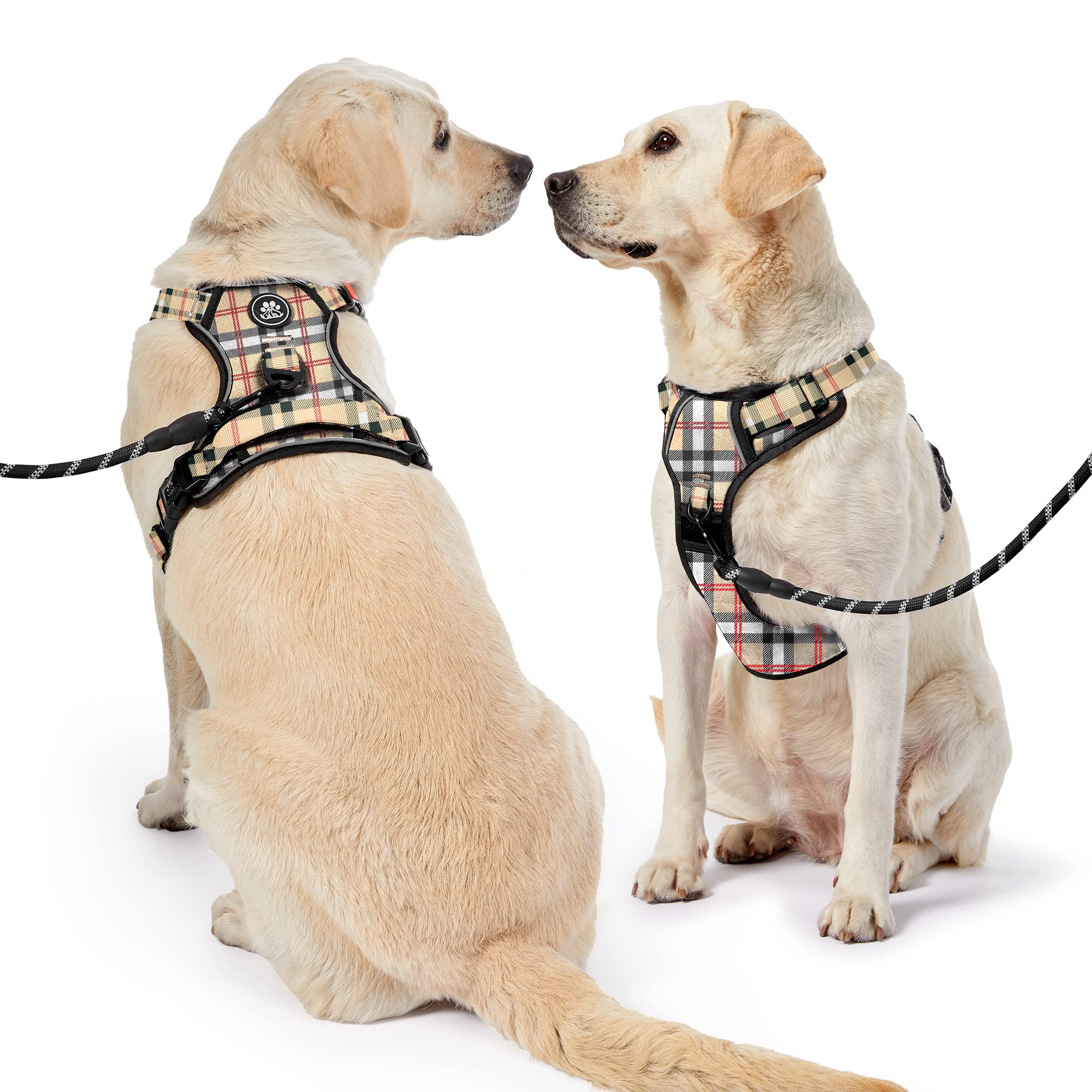 NESTROAD dog harness set with its leash, retractable seatbelt, and storage strap.