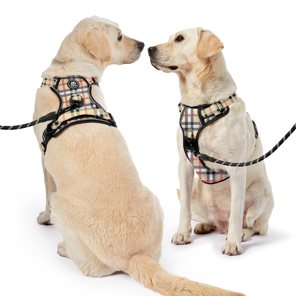 NESTROAD dog harness set with its leash, retractable seatbelt, and storage strap.