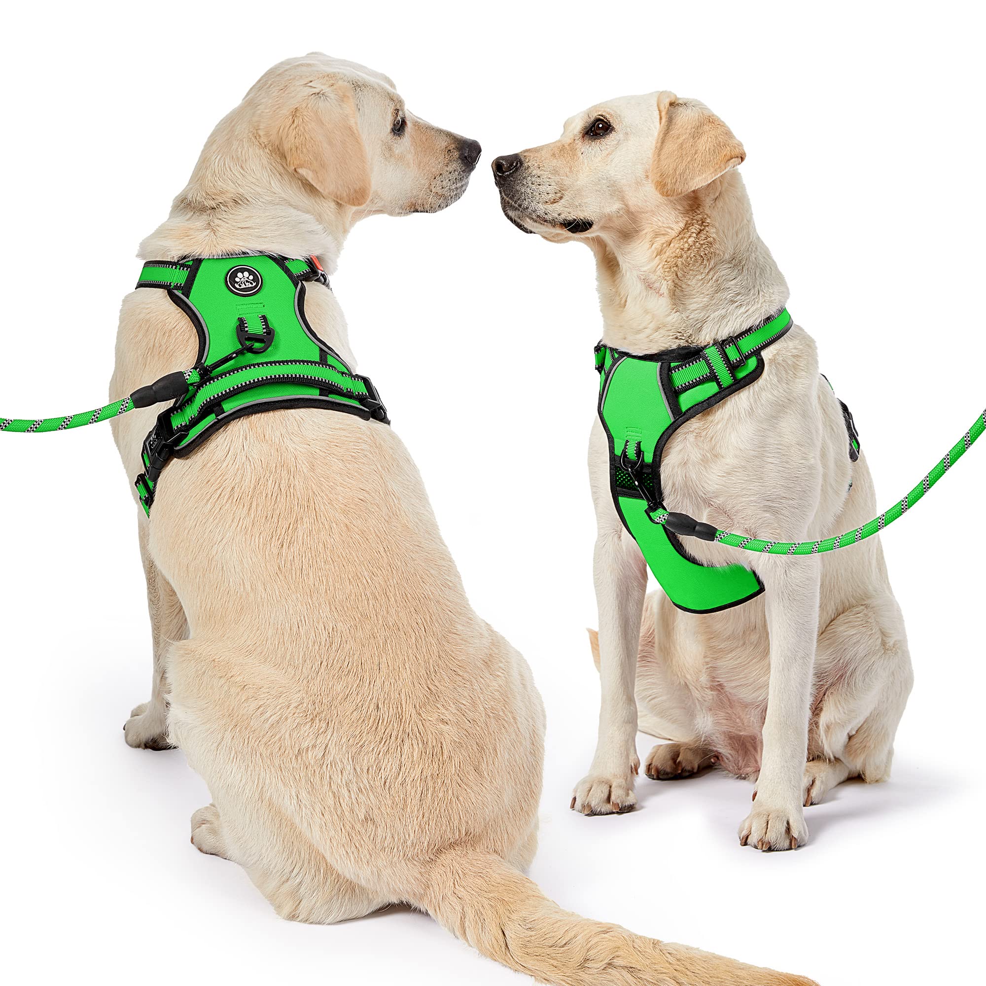 NESTROAD dog harness set with the leash, retractable seatbelt and storage strap.