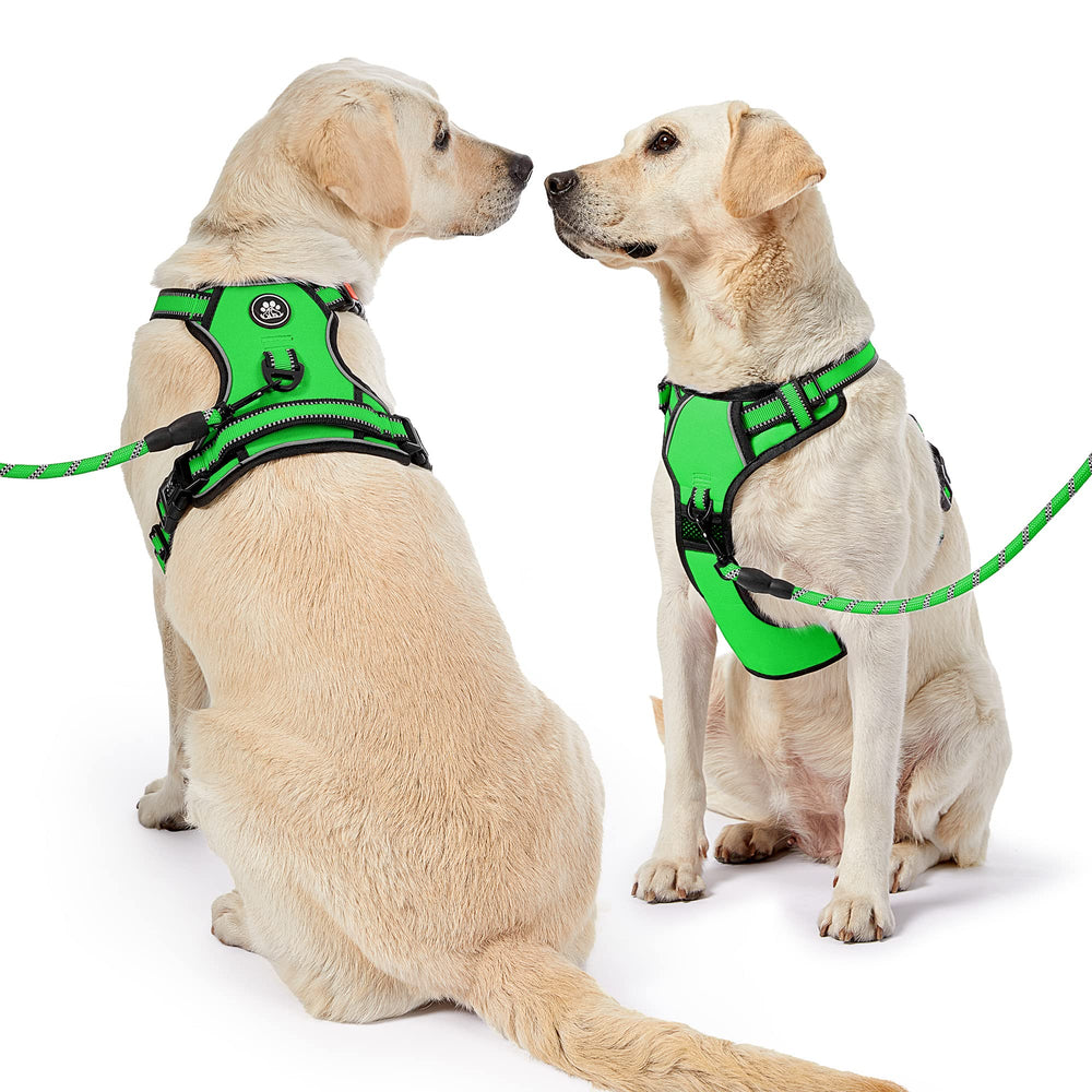 NESTROAD dog harness set with the leash, retractable seatbelt and storage strap.