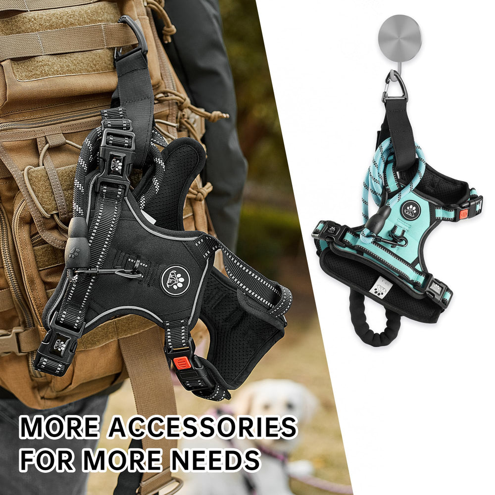 NESTROAD dog harness set shown with its leash, retractable seatbelt and storage strap.