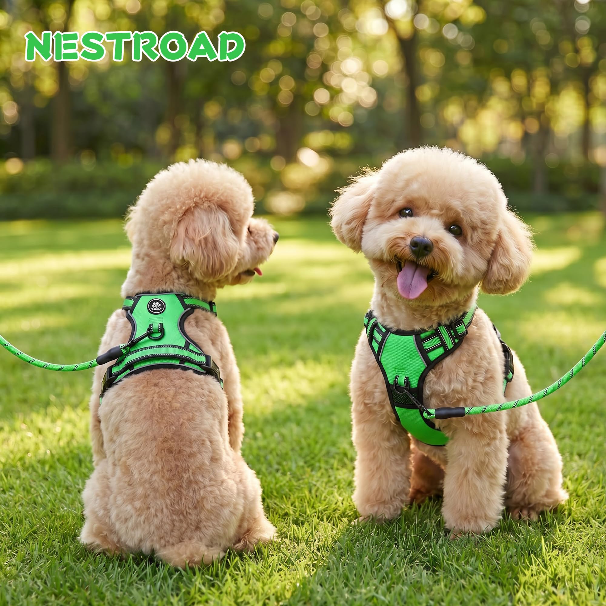 NESTROAD dog harness showing the side-entry quick-release buckles.