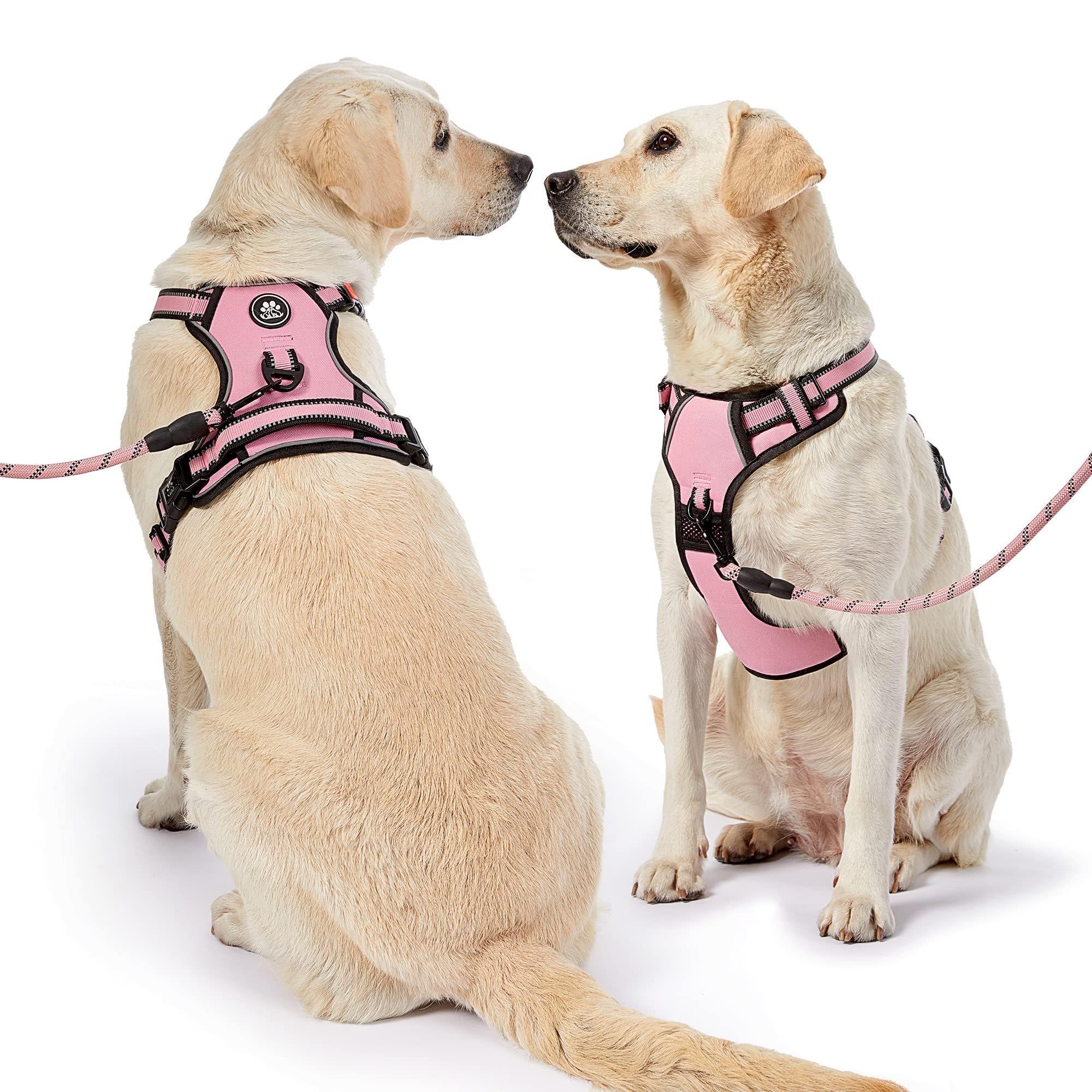 NESTROAD dog harness side-entry design with its quick-release buckles.