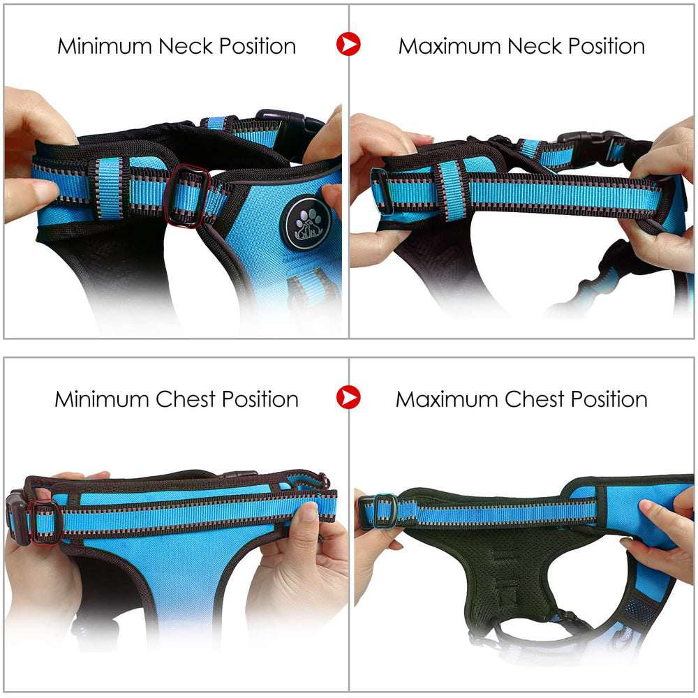 NESTROAD dog harness set arranged with its leash for a walking outing.