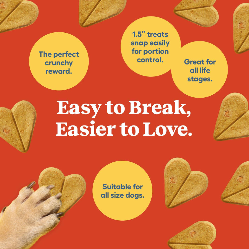 Newman's Own Dog Biscuits offered to a dog as a reward.