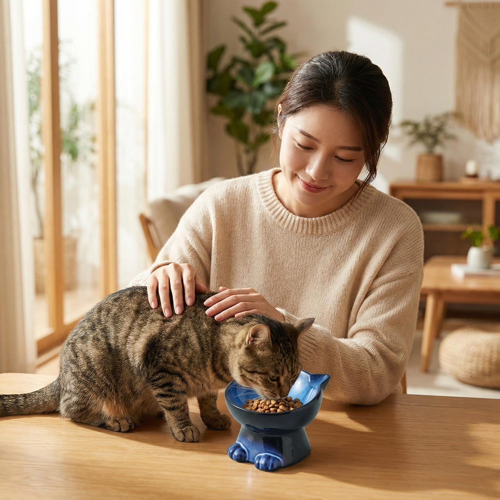 Nihow Elevated Cat Bowl close-up showing its ceramic surface.