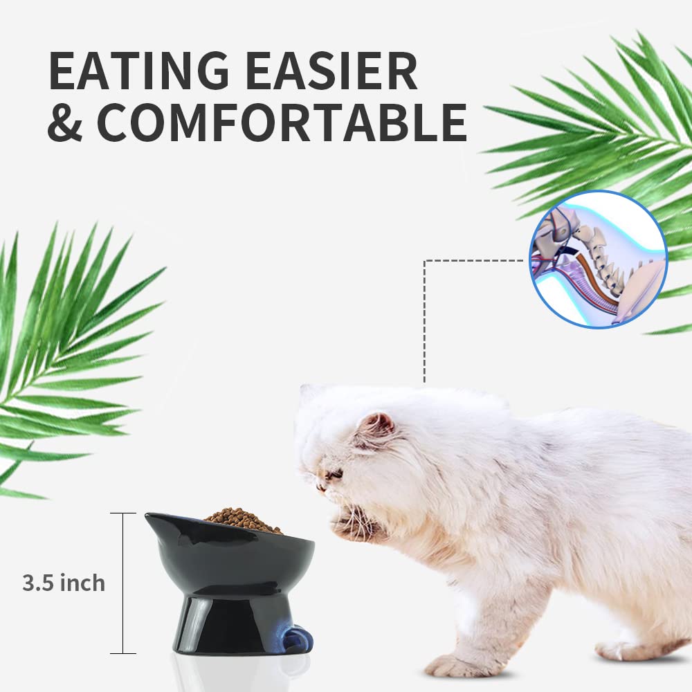Nihow Elevated Cat Bowl viewed from above to show its widened dish.
