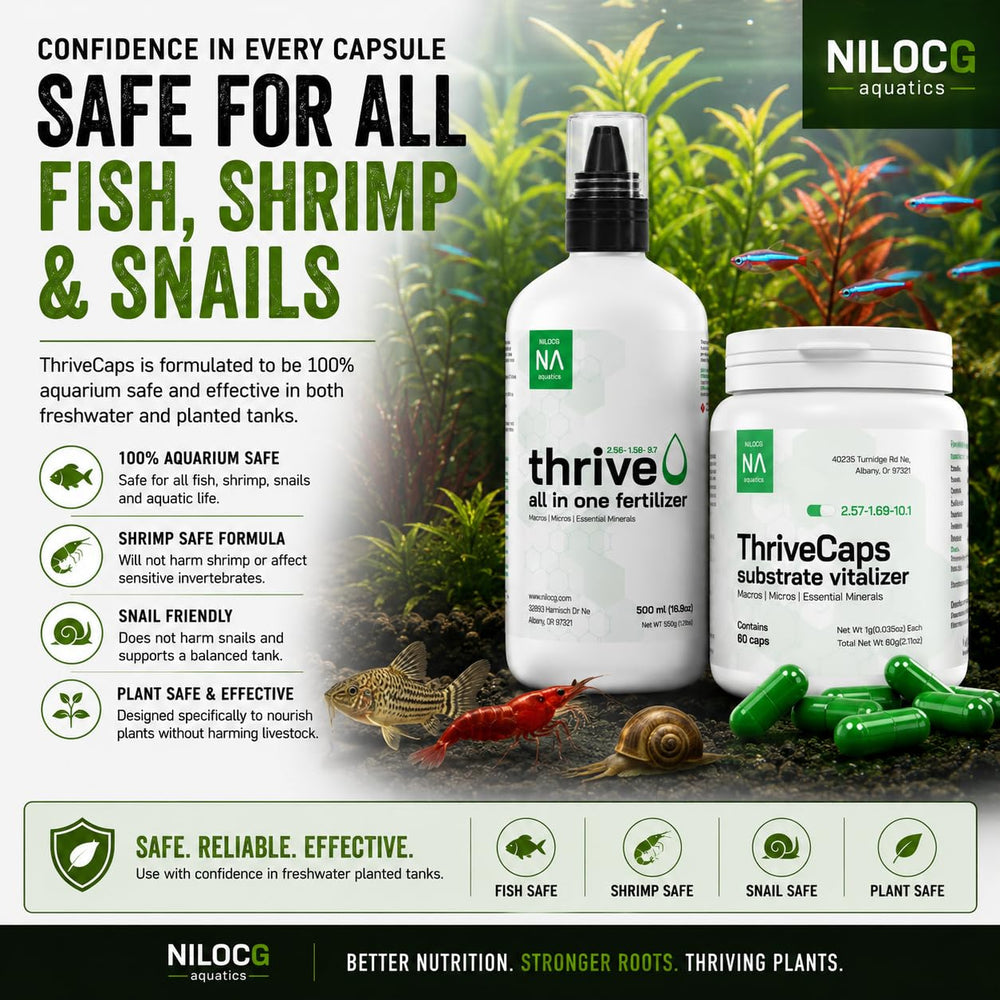 NilocG Aquatics ThriveCaps aquarium root fertilizer capsule shown in close-up.