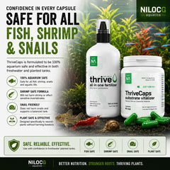 NilocG Aquatics ThriveCaps aquarium root fertilizer capsule shown in close-up.