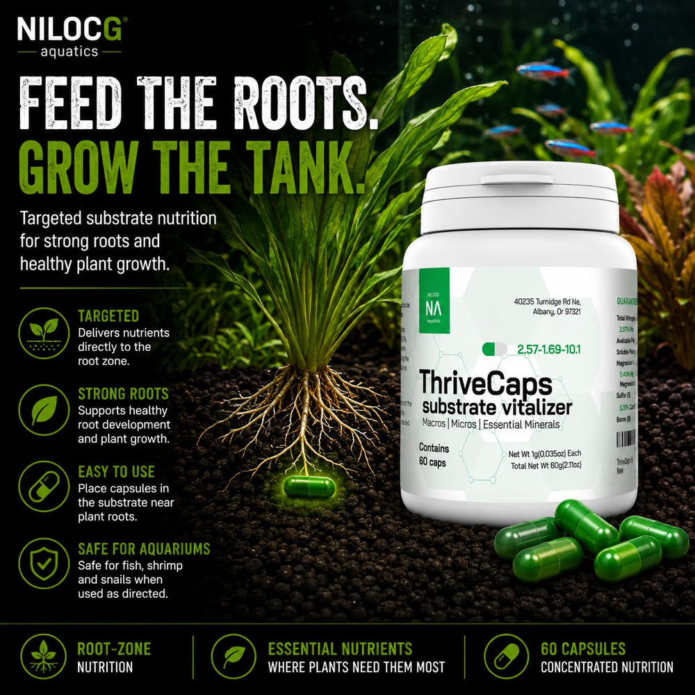 NilocG Aquatics ThriveCaps aquarium root fertilizer shown in capsule form.