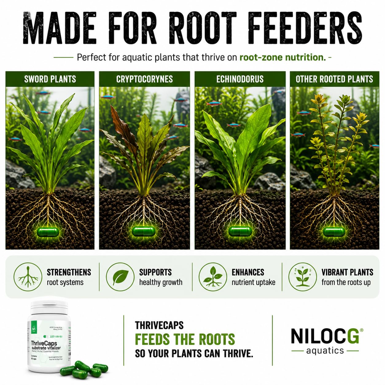 NilocG Aquatics ThriveCaps aquarium root fertilizer label shown clearly.