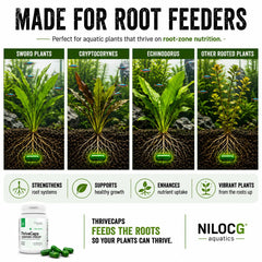 NilocG Aquatics ThriveCaps aquarium root fertilizer label shown clearly.