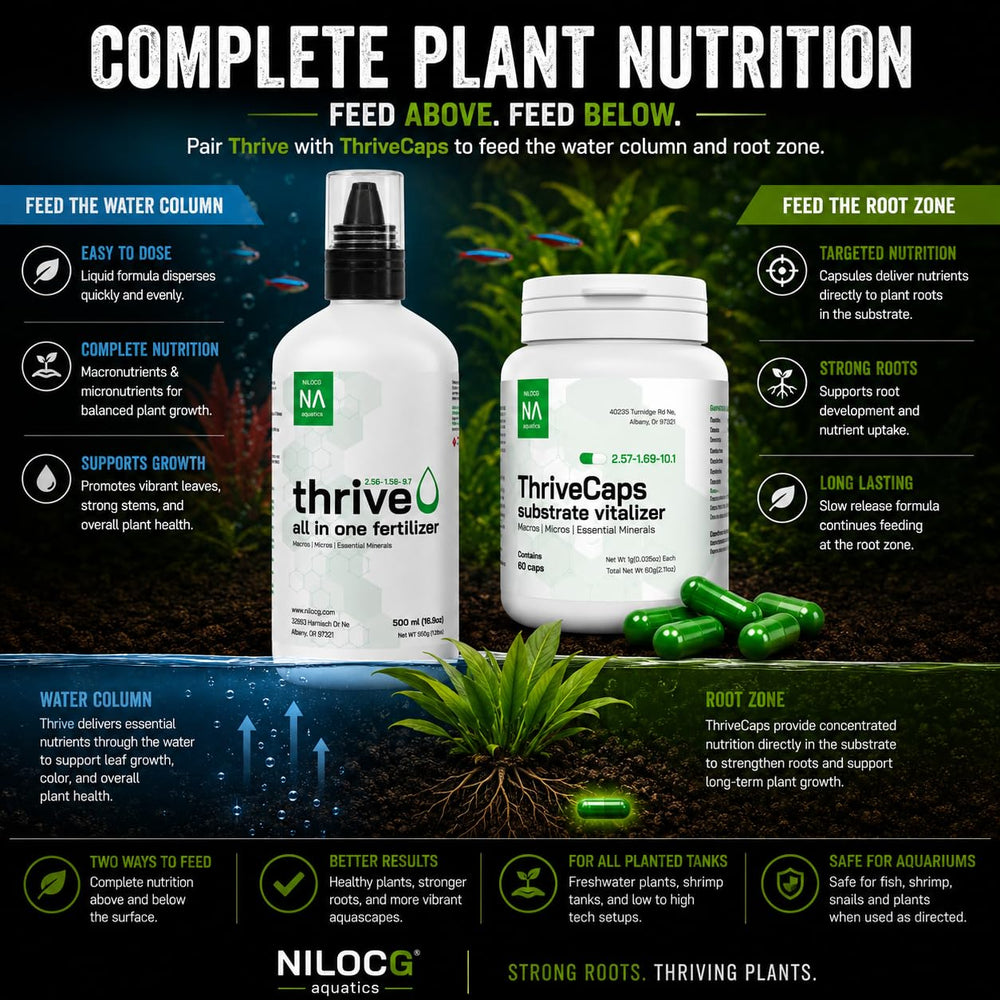 NilocG Aquatics ThriveCaps aquarium root fertilizer for rooted aquatic plants.