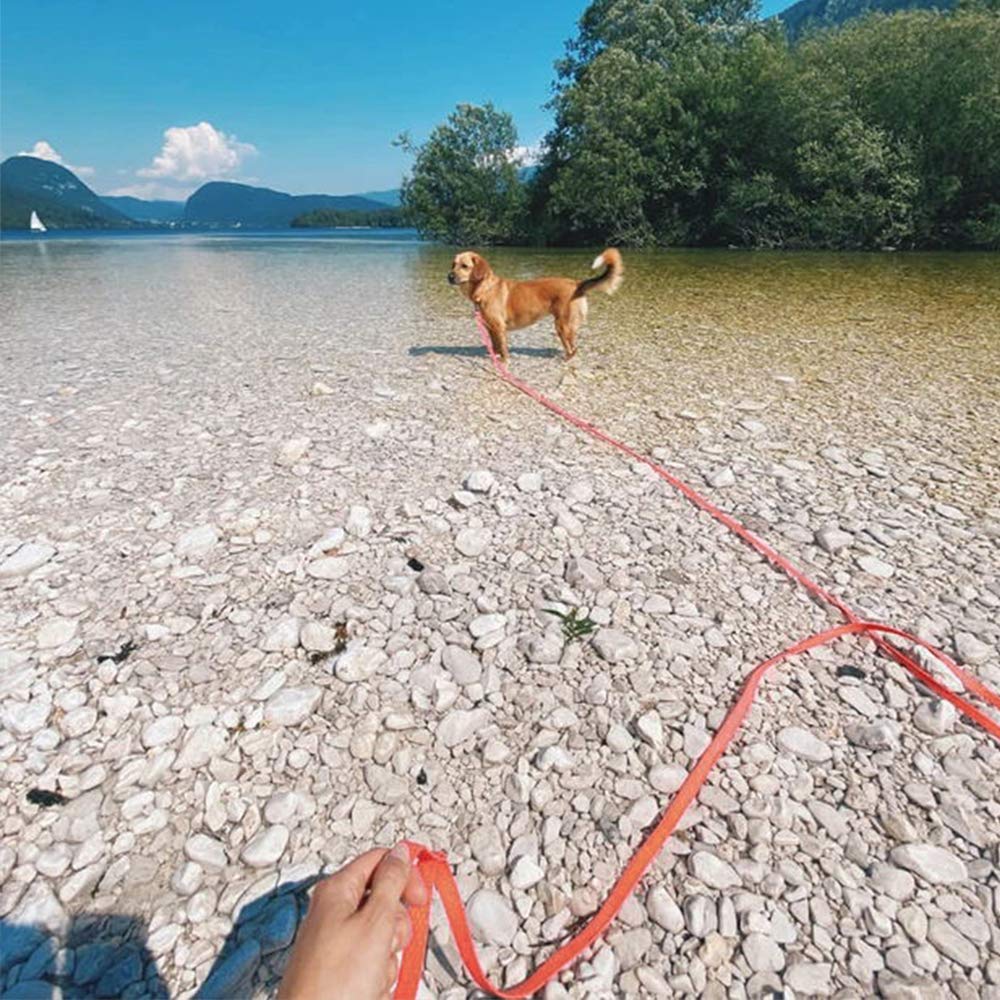 NIMBLE long dog leash length choices range from 5 feet to 50 feet.