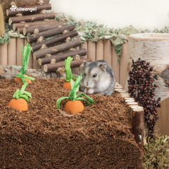 Niteangel hamster bedding spread in a habitat for digging and burrowing.