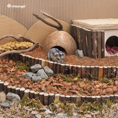 Niteangel hamster bedding arranged as a loose layer in a small-pet habitat.