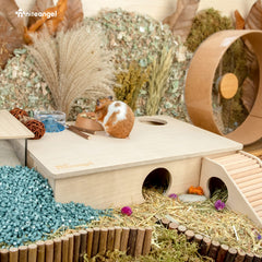 Niteangel hamster house maze viewed from above to show its connected rooms.