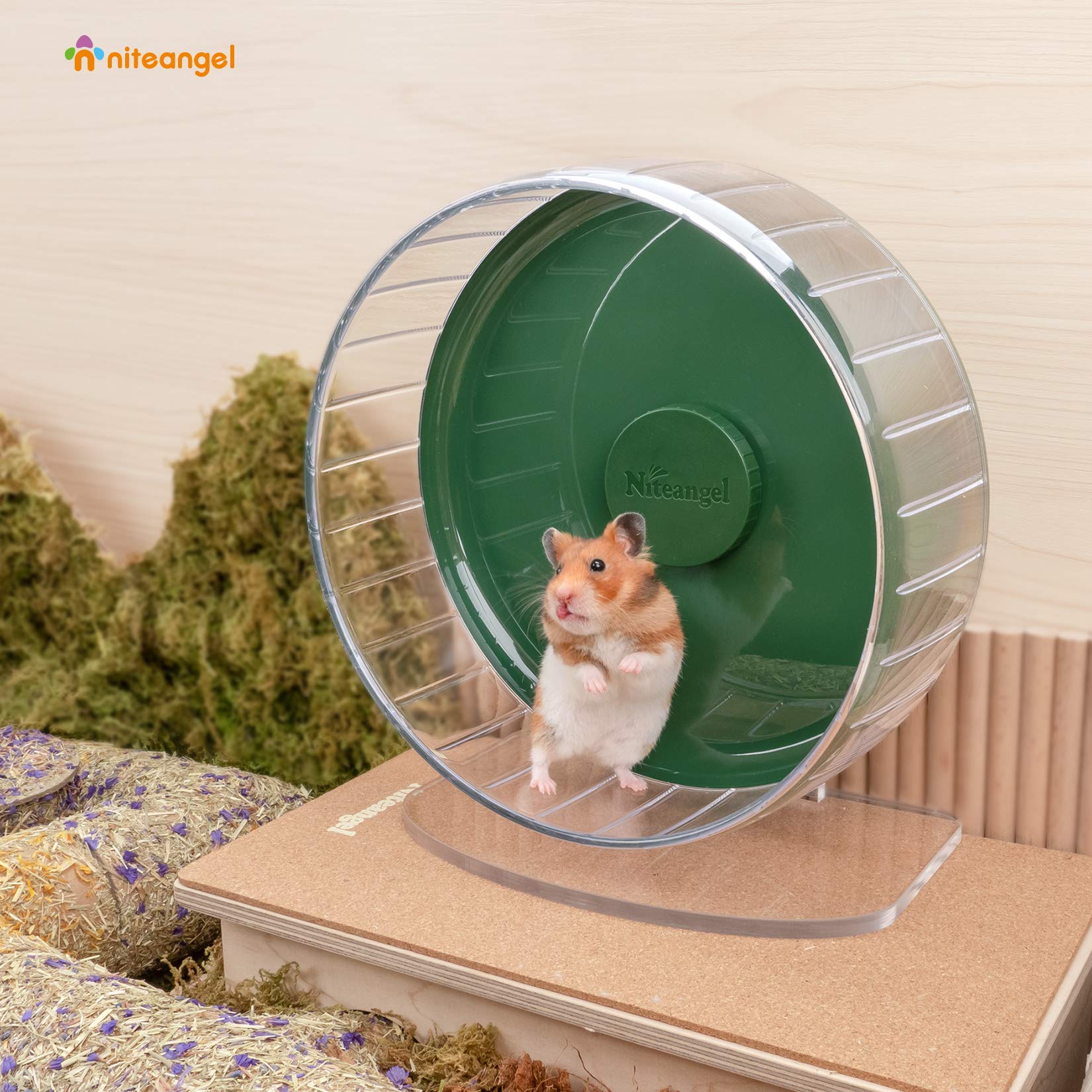 Niteangel hamster exercise wheel close-up showing the dual ball-bearing design.