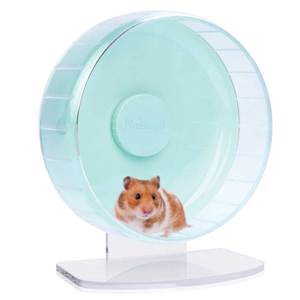 Niteangel hamster exercise wheel shown from the front.