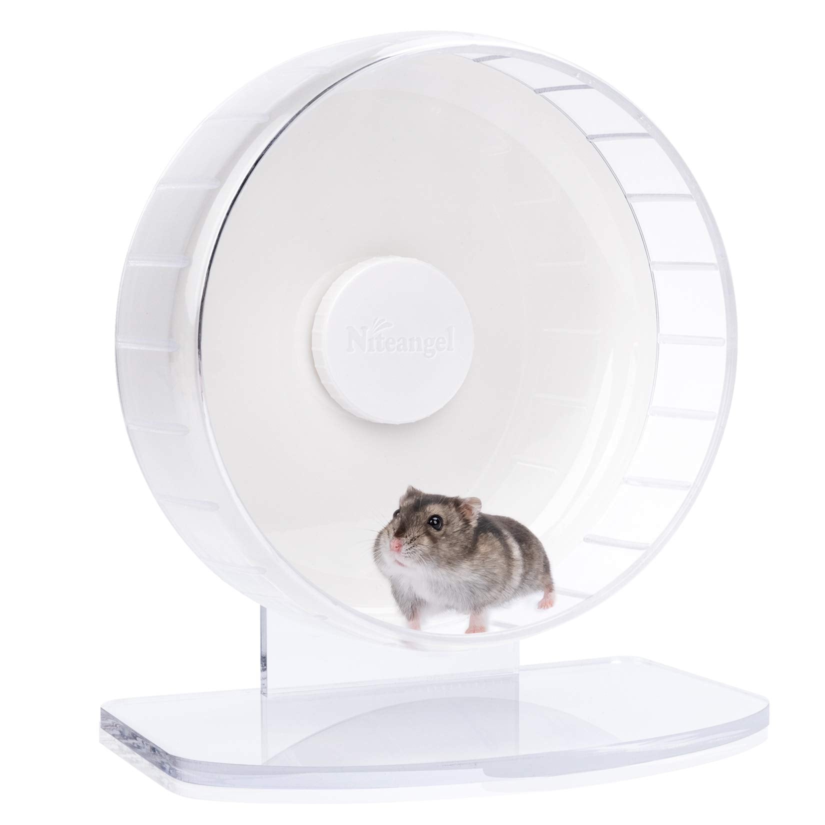 Niteangel hamster wheel shown from the front with its running drum and base.