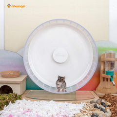 Close-up of the running drum on the Niteangel hamster exercise wheel.