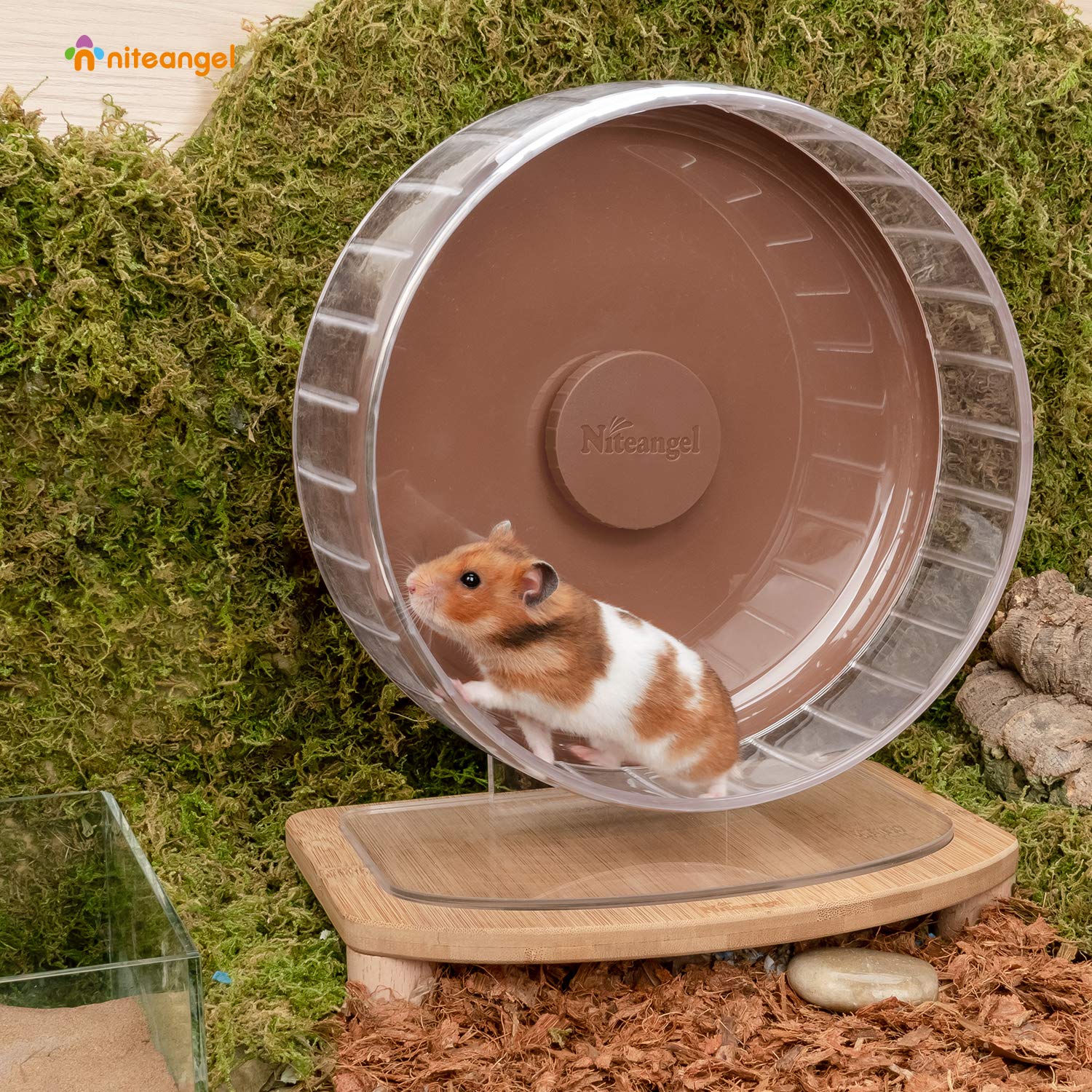 Niteangel hamster wheel shown from the side to display its overall profile.