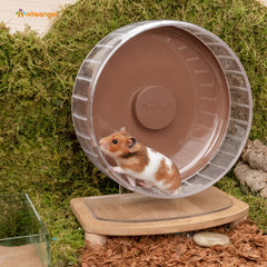 Niteangel hamster wheel shown from the side to display its overall profile.
