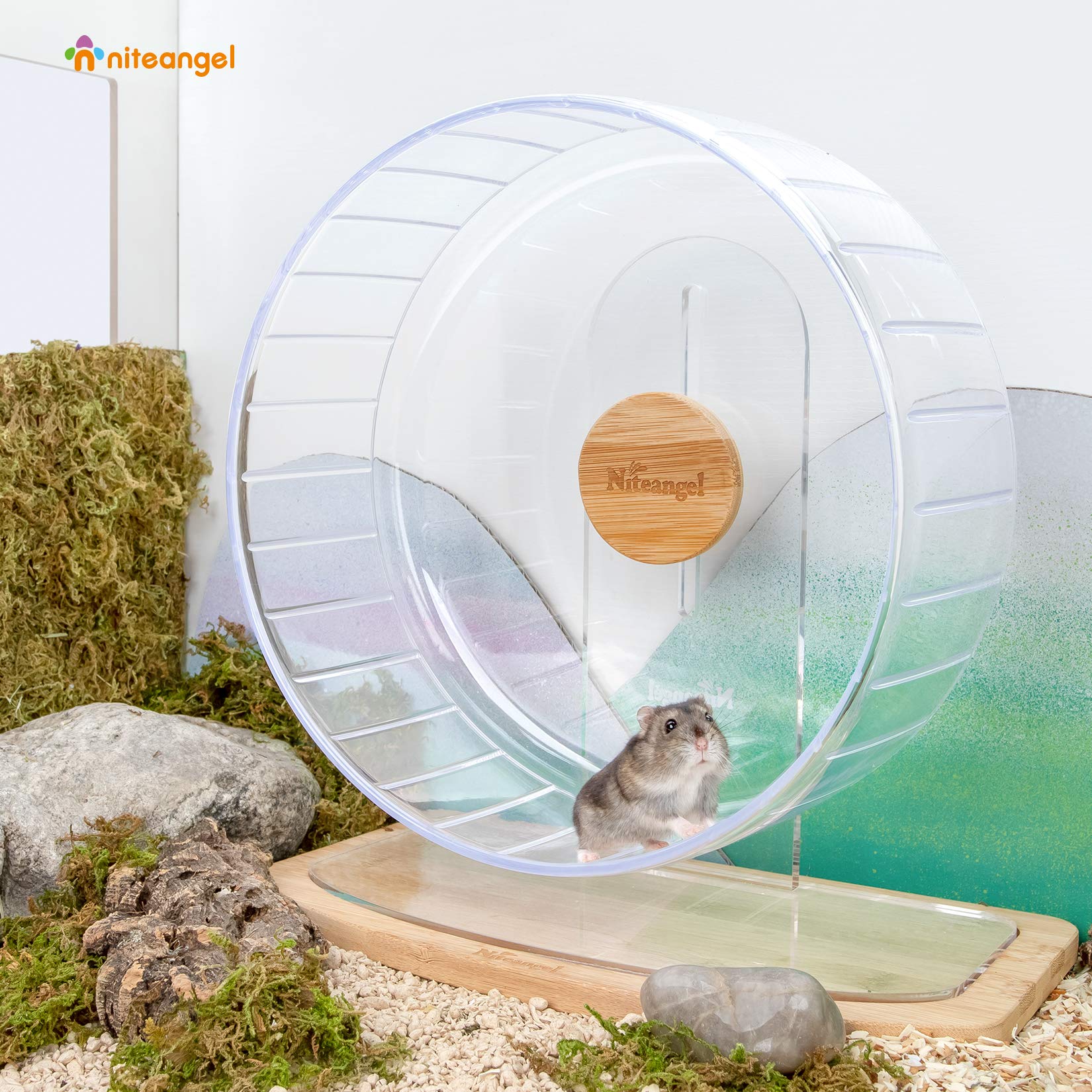 Niteangel hamster exercise wheel showing its wide running track.