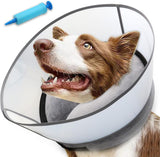 NoarWin inflatable dog cone shown from the front with its transparent shield attached.