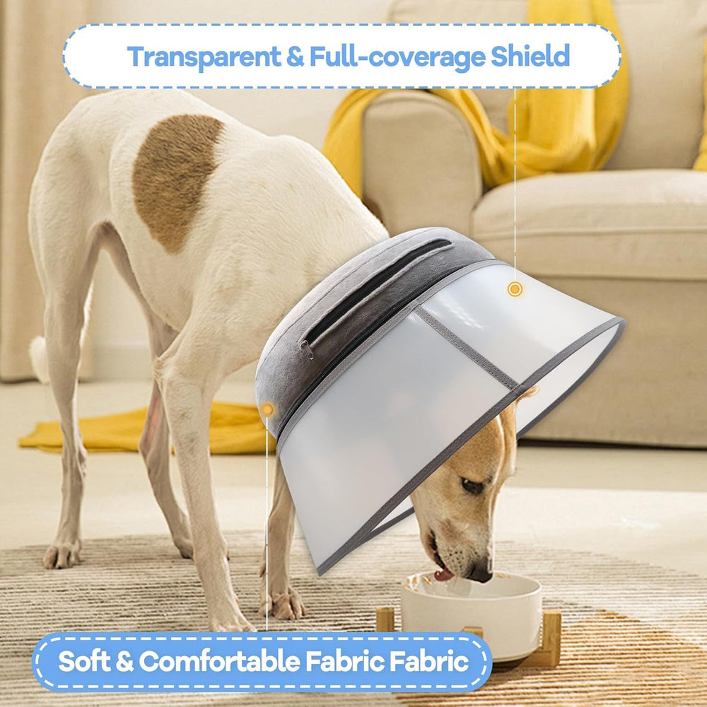 NoarWin inflatable dog cone worn by a dog as a recovery collar.