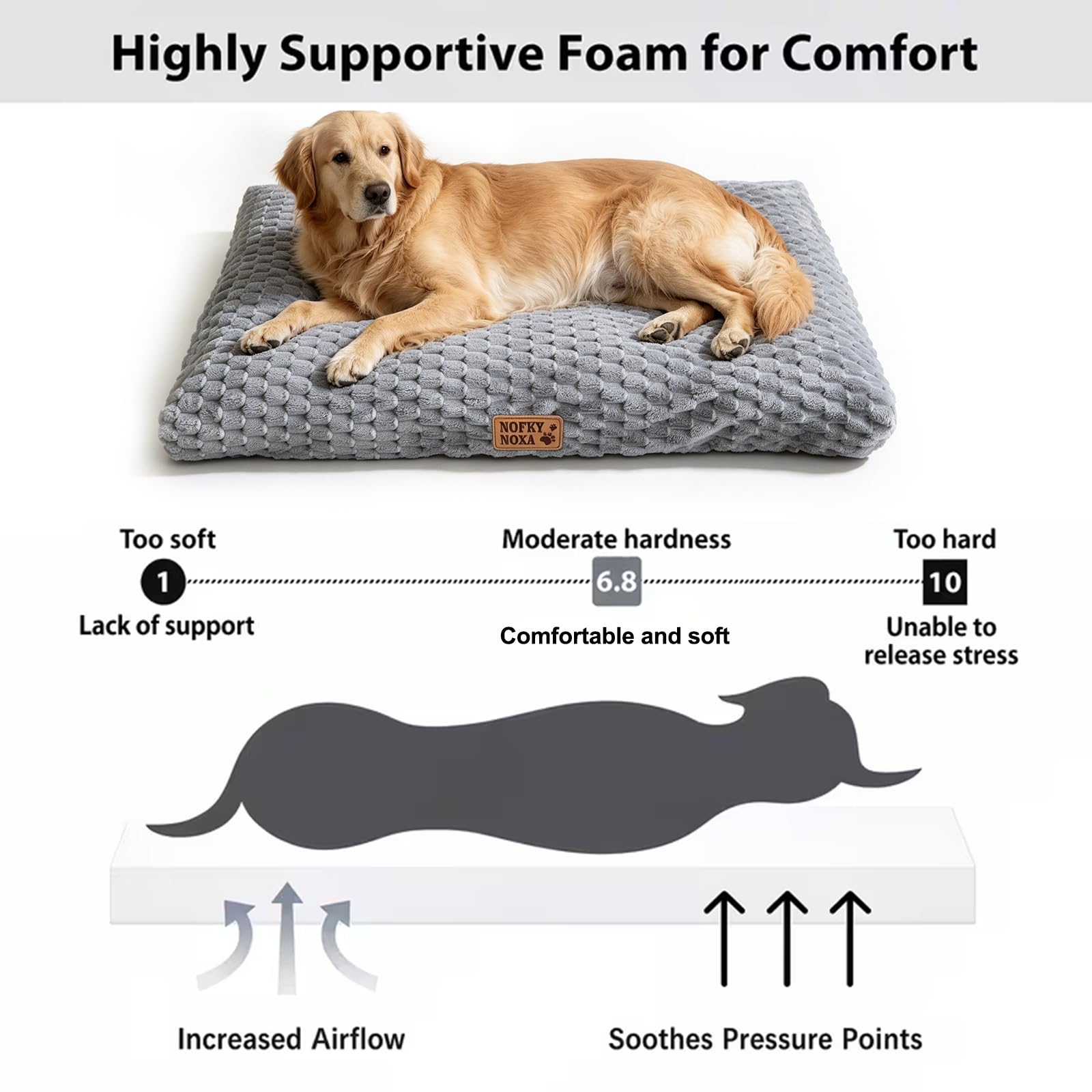 NOFKYNOXA dog bed with a medium dog resting on its cushioned surface.