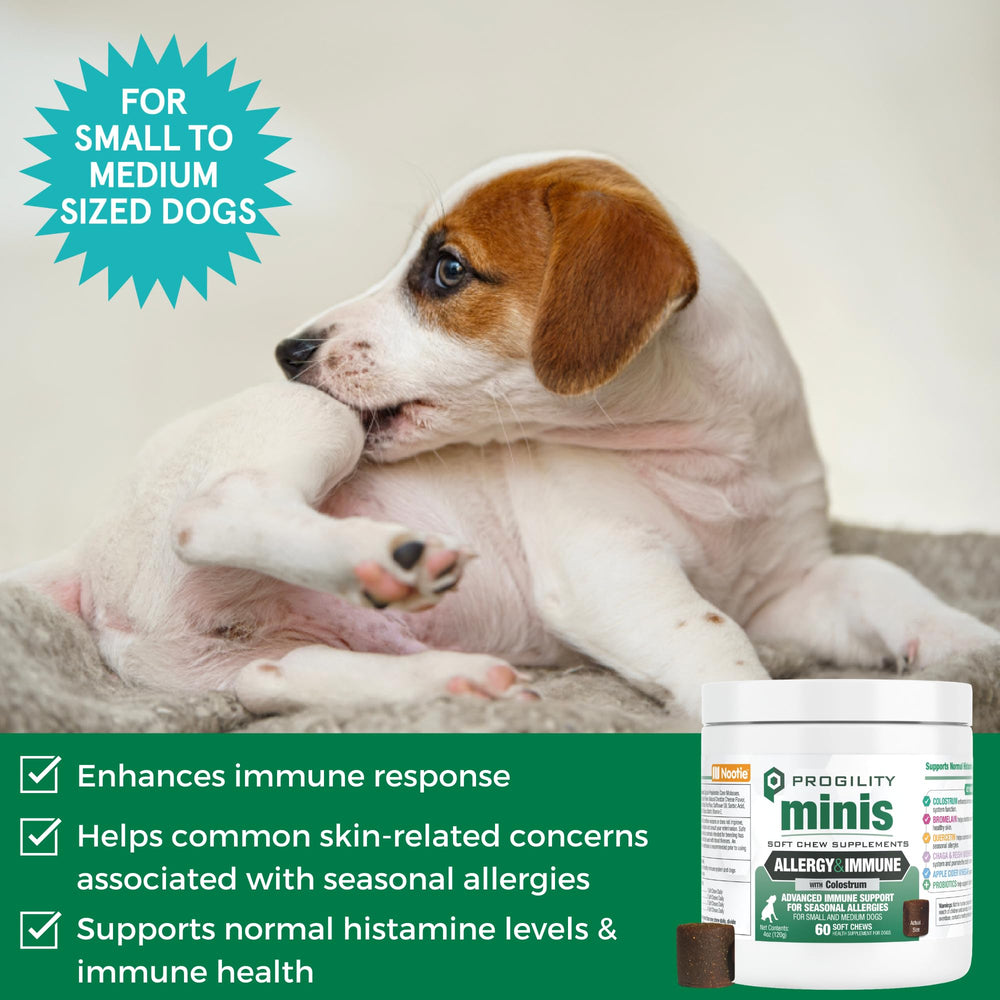 Nootie Progility Mini supplement soft chew shown close up.
