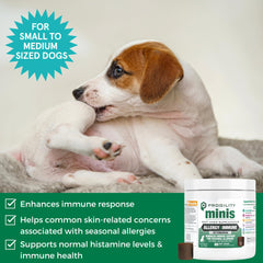 Nootie Progility Mini supplement soft chew shown close up.
